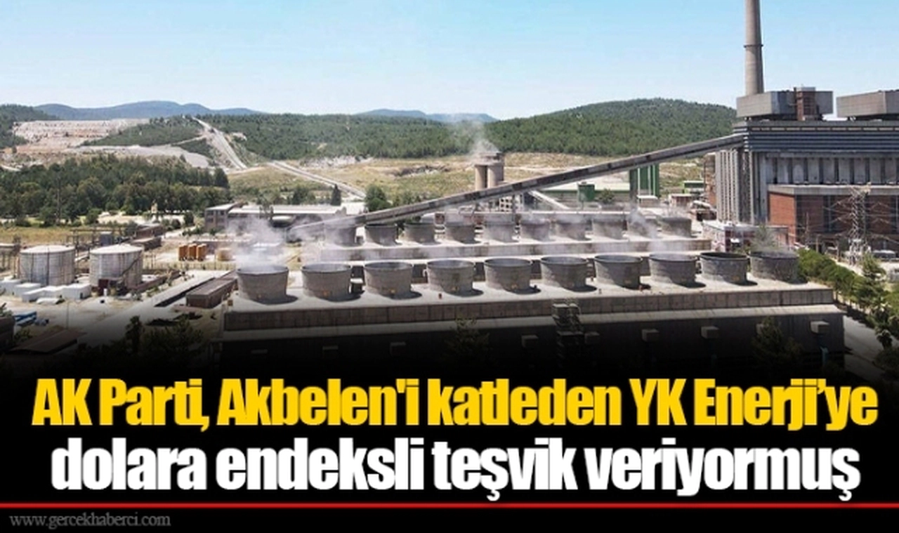 AK Parti, Akbelen'i katleden YK Enerji’ye dolara endeksli teşvik veriyormuş