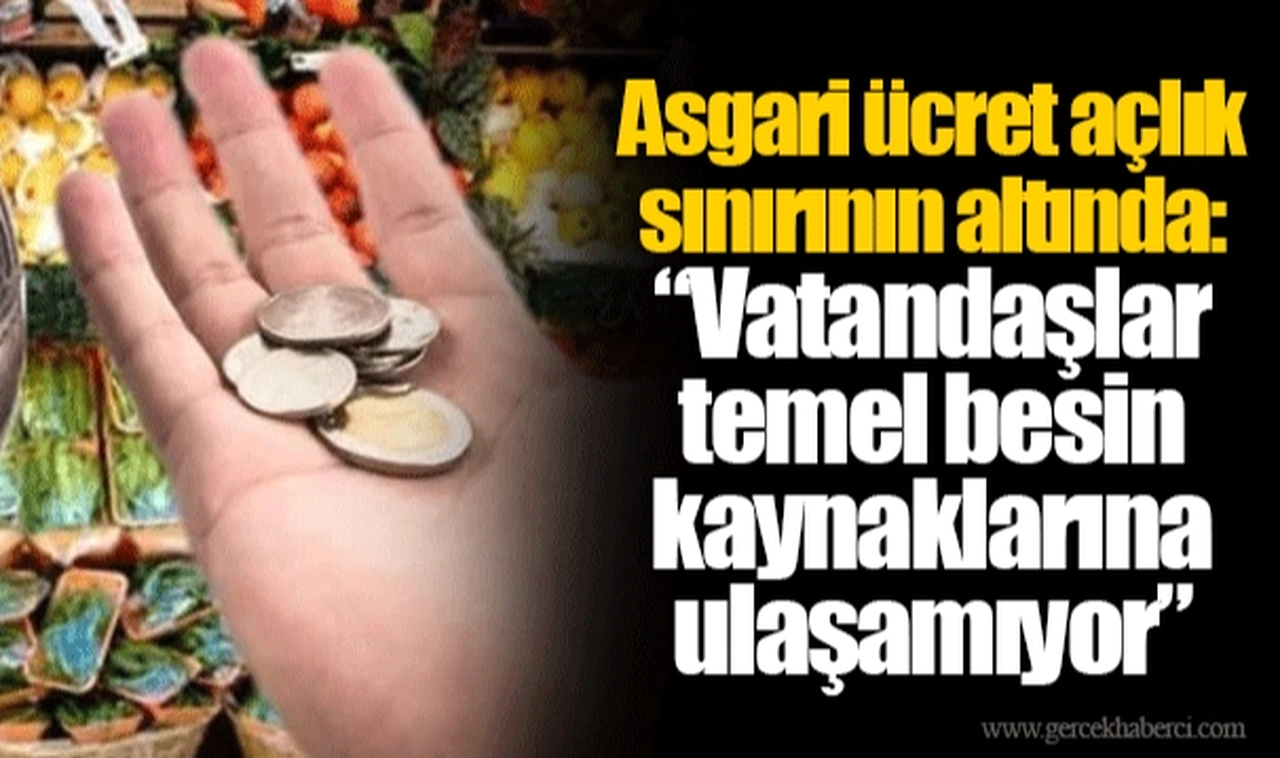 Asgari ücret açlık sınırının altında:   “Vatandaşlar temel besin kaynaklarına ulaşamıyor”