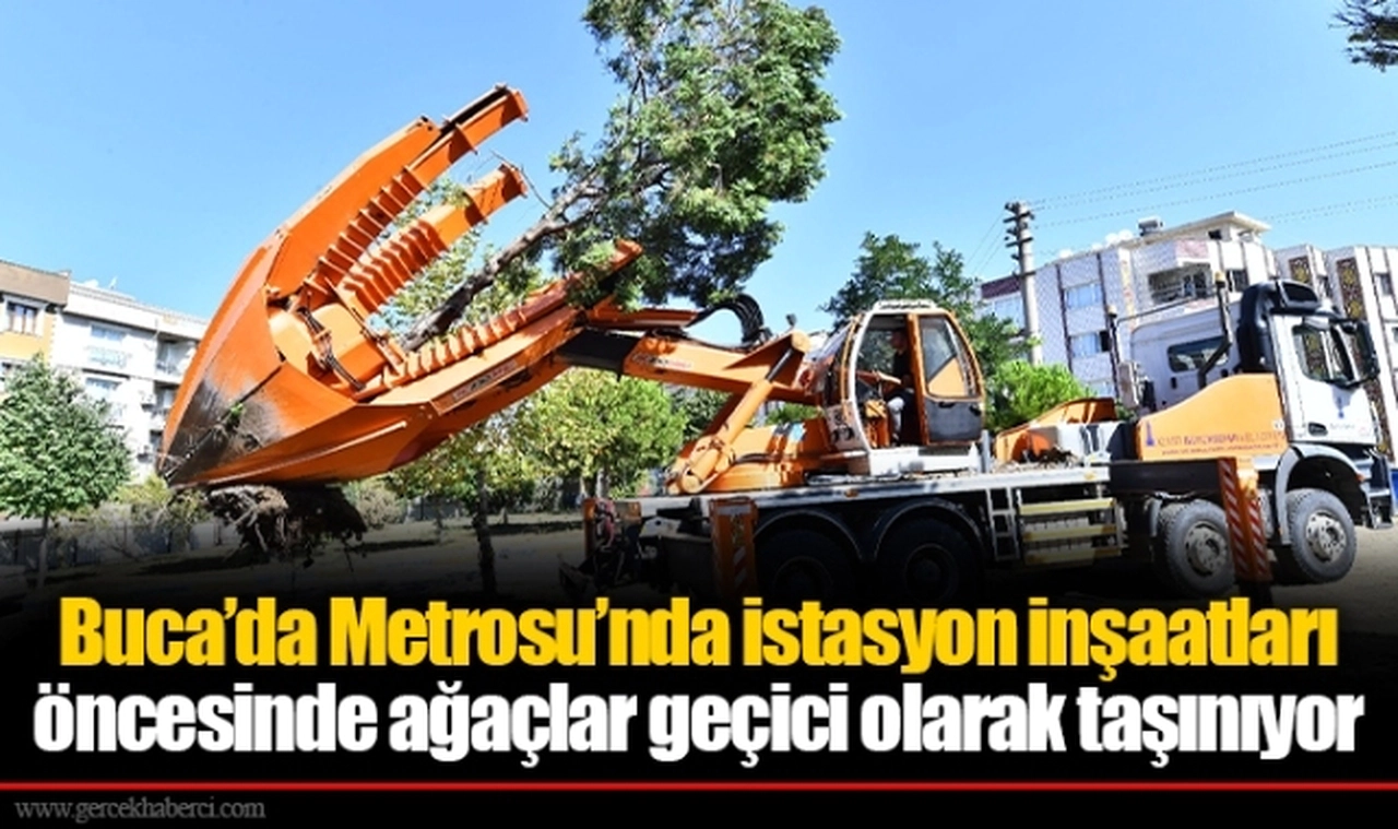 Buca’da Metrosu’nda istasyon inşaatları öncesinde ağaçlar geçici olarak taşınıyor