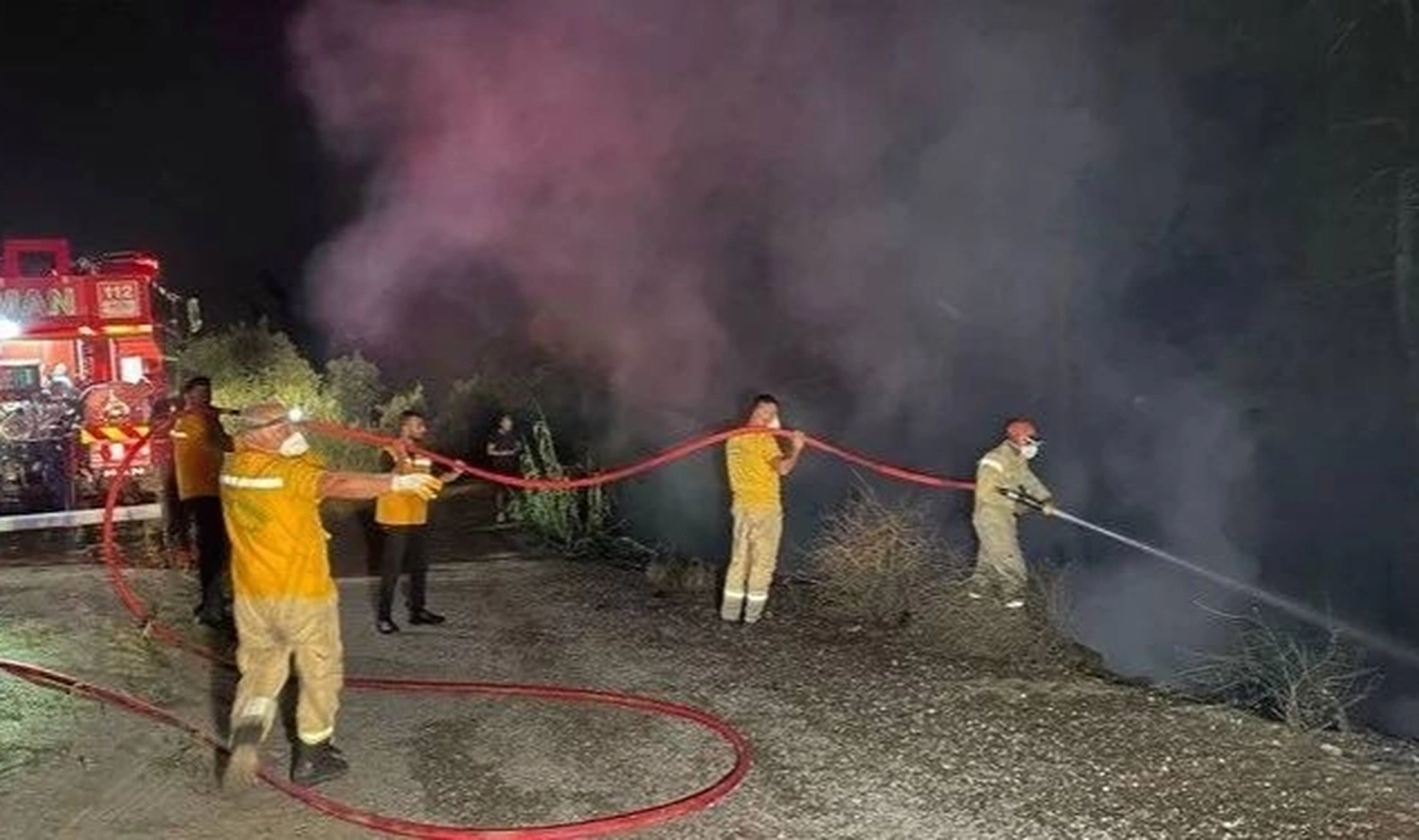 Bursa'daki yangının şüphelisi: Canım istedi, ormanı yaktım
