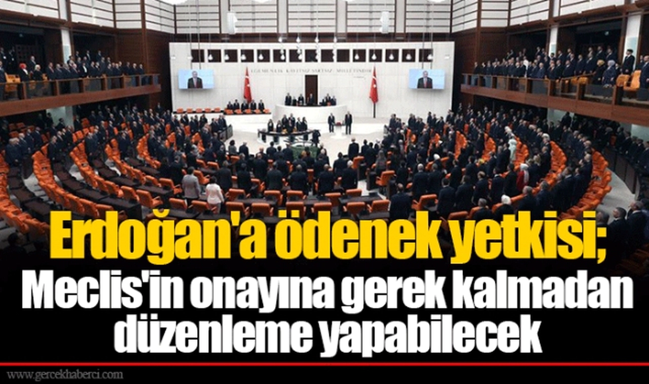 Erdoğan'a ödenek yetkisi; Meclis'in onayına gerek kalmadan düzenleme yapabilecek