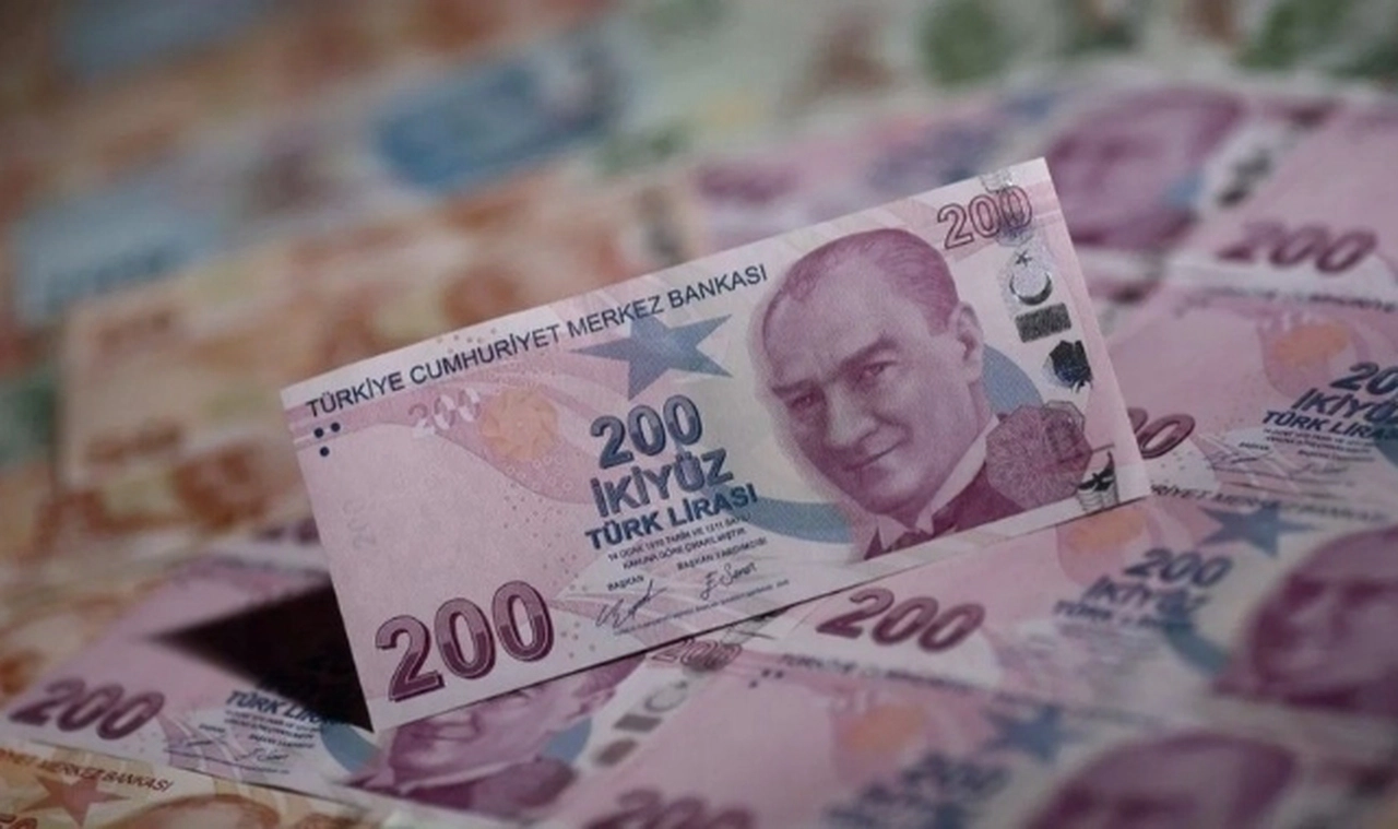 Hazine 19,8 milyar lira borçlandı