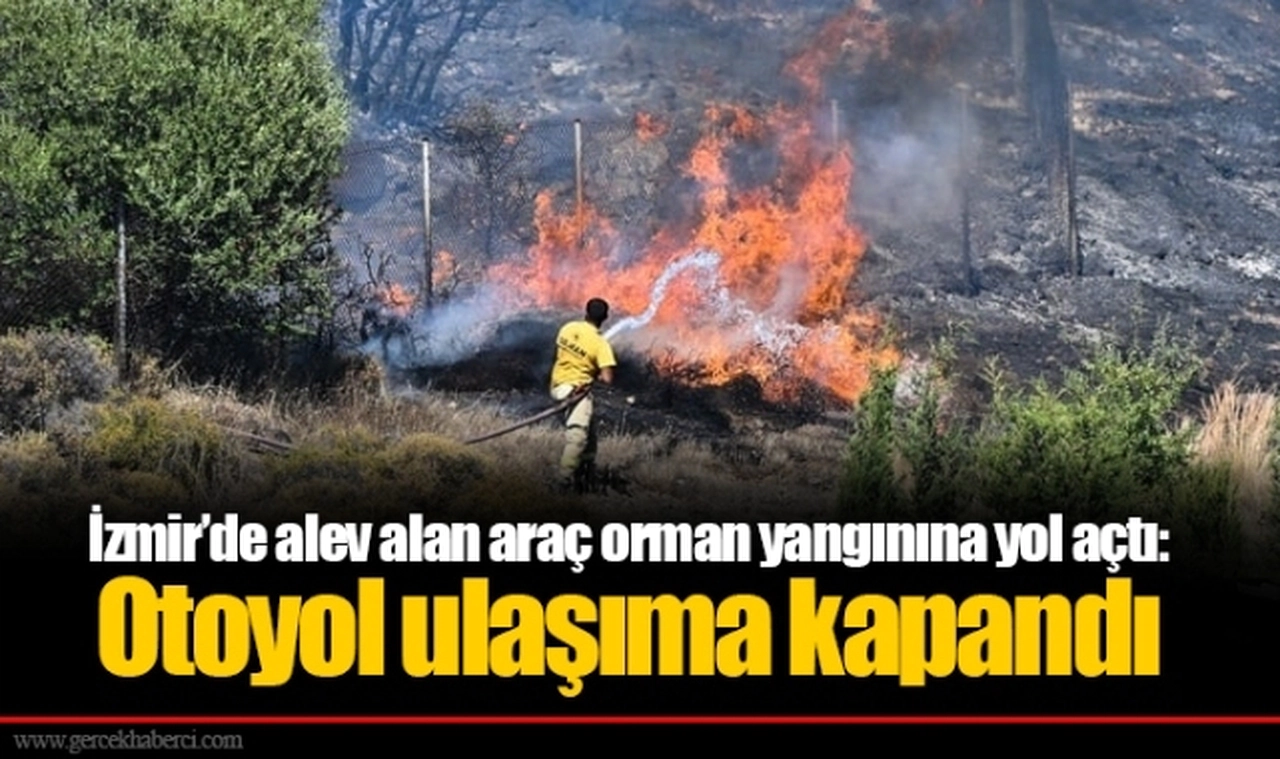 İzmir’de alev alan araç orman yangınına yol açtı: Otoyol ulaşıma kapandı