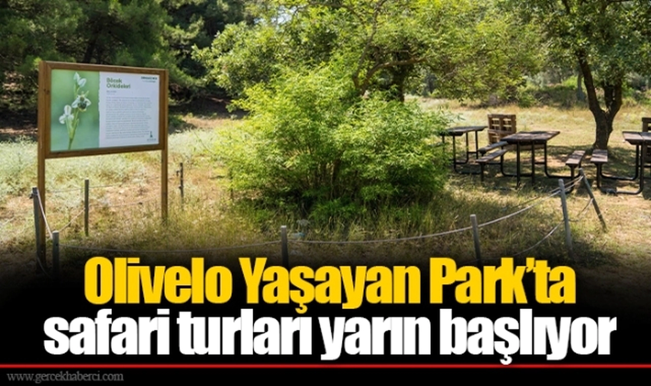 Olivelo Yaşayan Park’ta safari turları yarın başlıyor