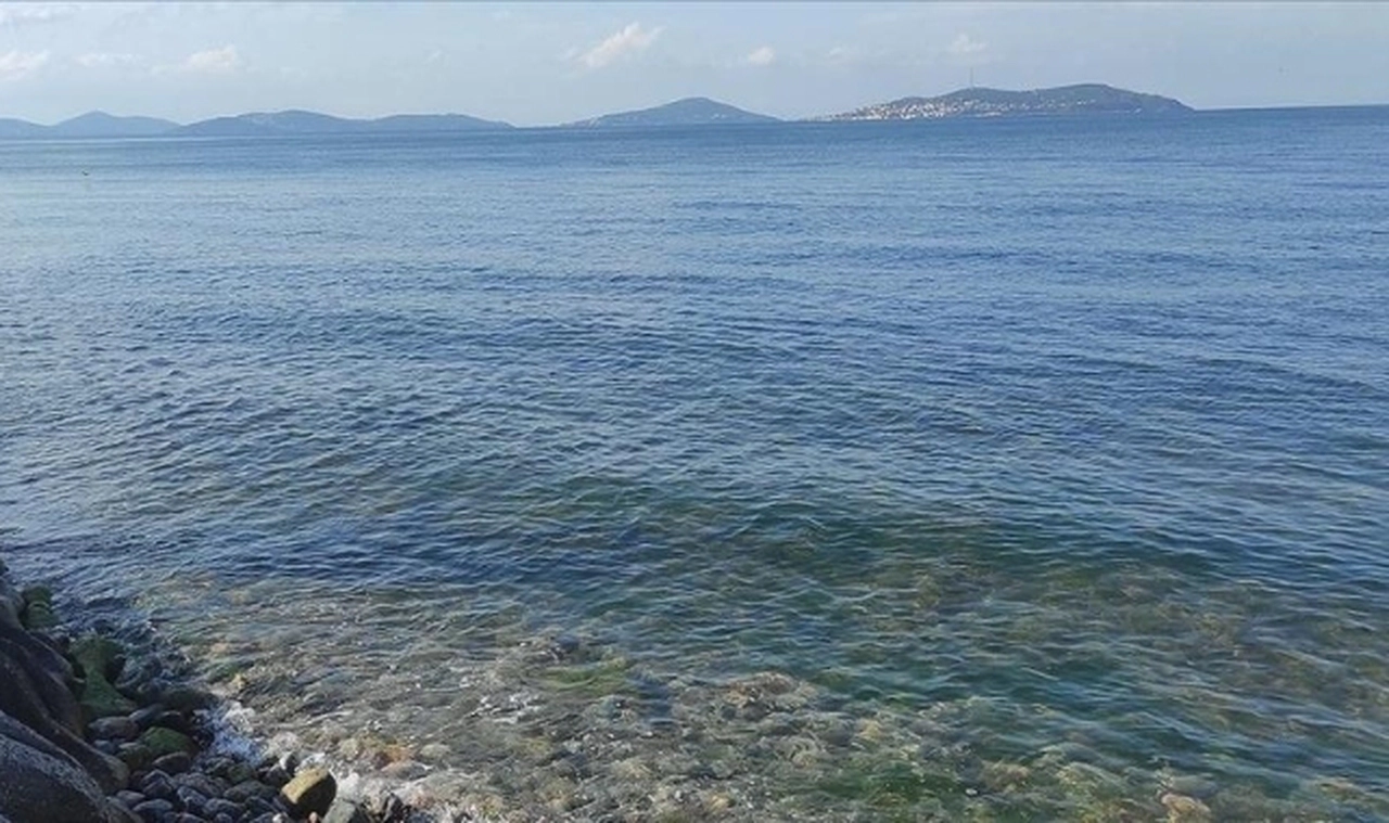 Uzmanlar uyardı: Kutup buzullarının erimesi Türkiye'yi çevreleyen denizlerdeki su seviyesini yükseltiyor