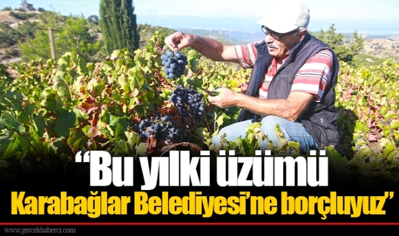 “Bu yılki üzümü Karabağlar Belediyesi’ne borçluyuz”