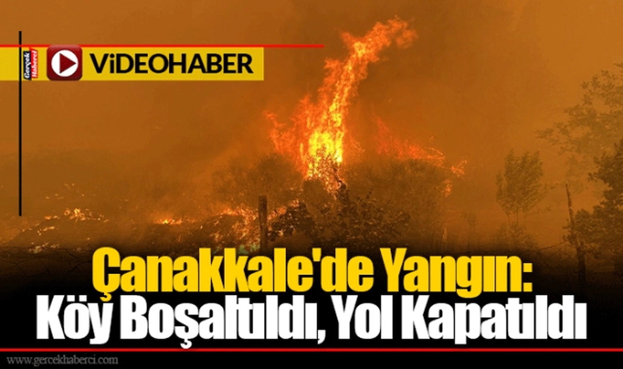 Çanakkale'de Yangın: Köy Boşaltıldı, Yol Kapatıldı