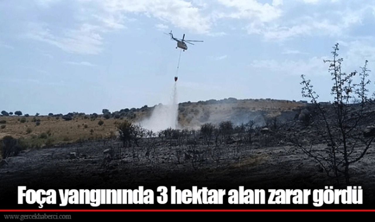 Foça yangınında 3 hektar alan zarar gördü