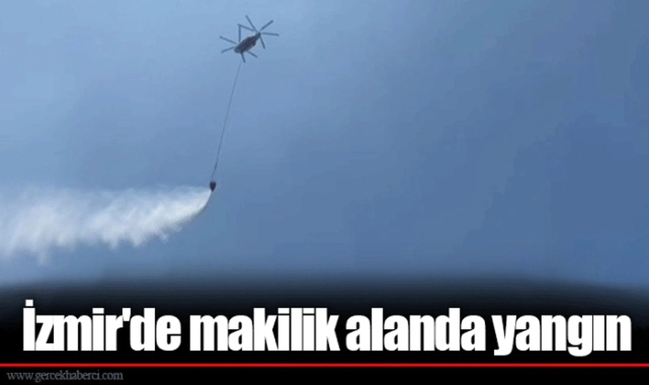 İzmir'de makilik alanda yangın