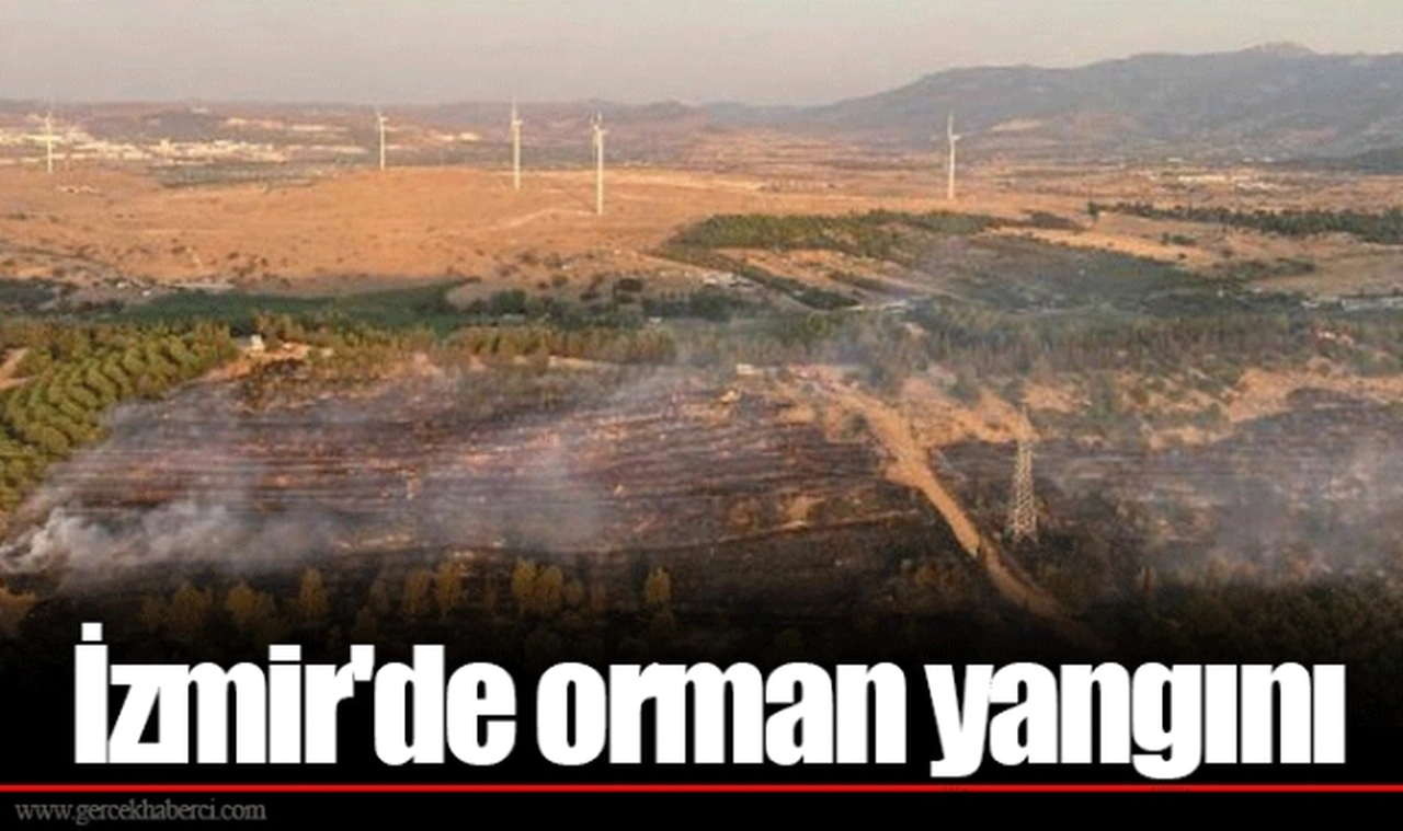 İzmir'de orman yangını