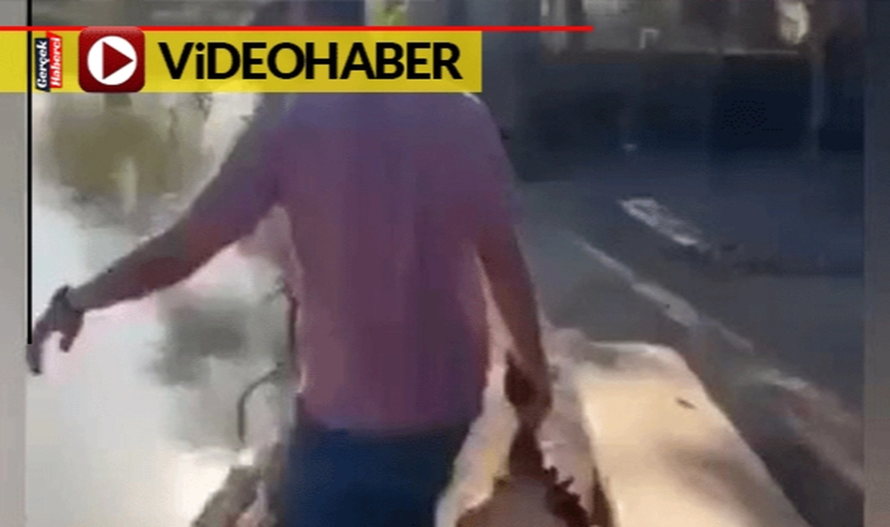 Piranalar,  saniyeler içerisinde eti yok etti, yok olan etten geriye sadece kemikleri kaldı
