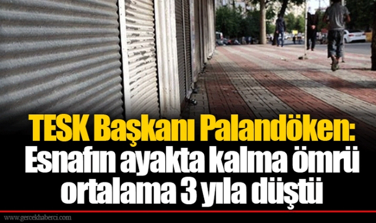 TESK Başkanı Palandöken: Esnafın ayakta kalma ömrü ortalama 3 yıla düştü