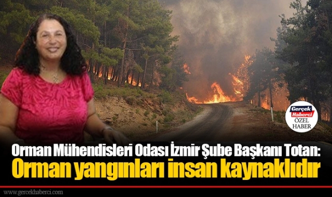 Totan: Orman yangınları insan kaynaklıdır