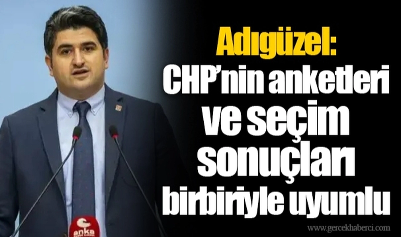 Adıgüzel: CHP’nin anketleri ve seçim sonuçları birbiriyle uyumlu