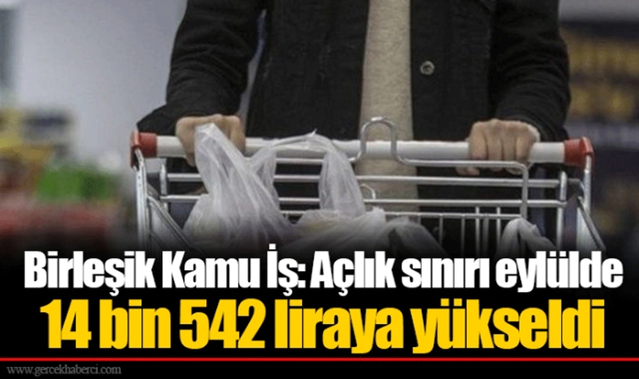 Birleşik Kamu İş: Açlık sınırı eylülde 14 bin 542 liraya yükseldi