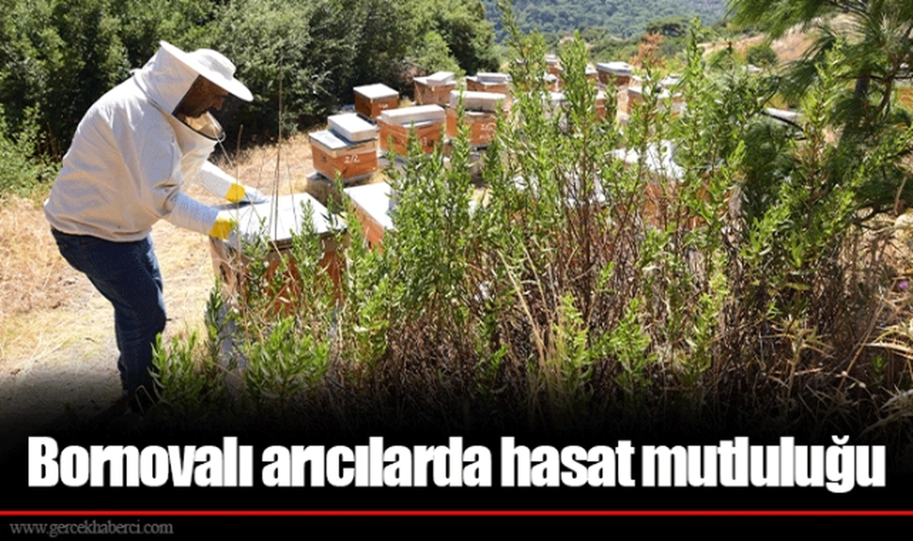 Bornovalı arıcılarda hasat mutluluğu