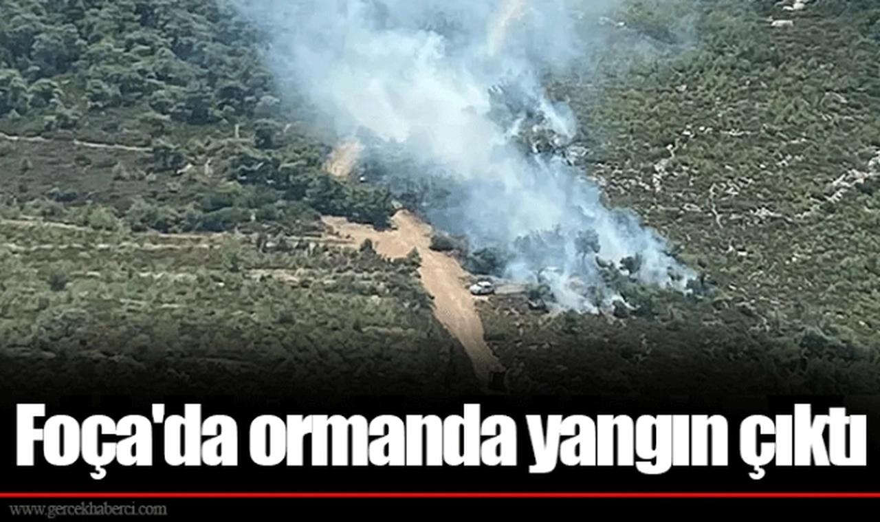 Foça'da ormanda yangın çıktı