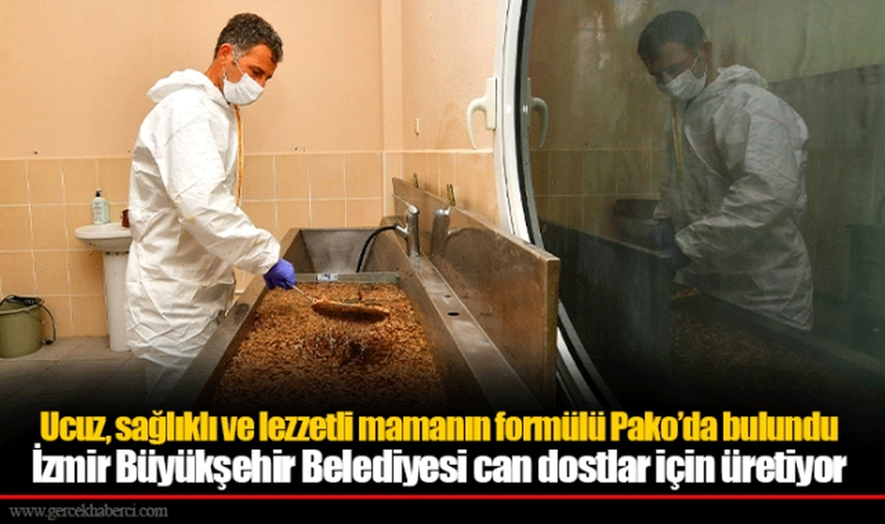 İzmir Büyükşehir Belediyesi can dostlar için üretiyor