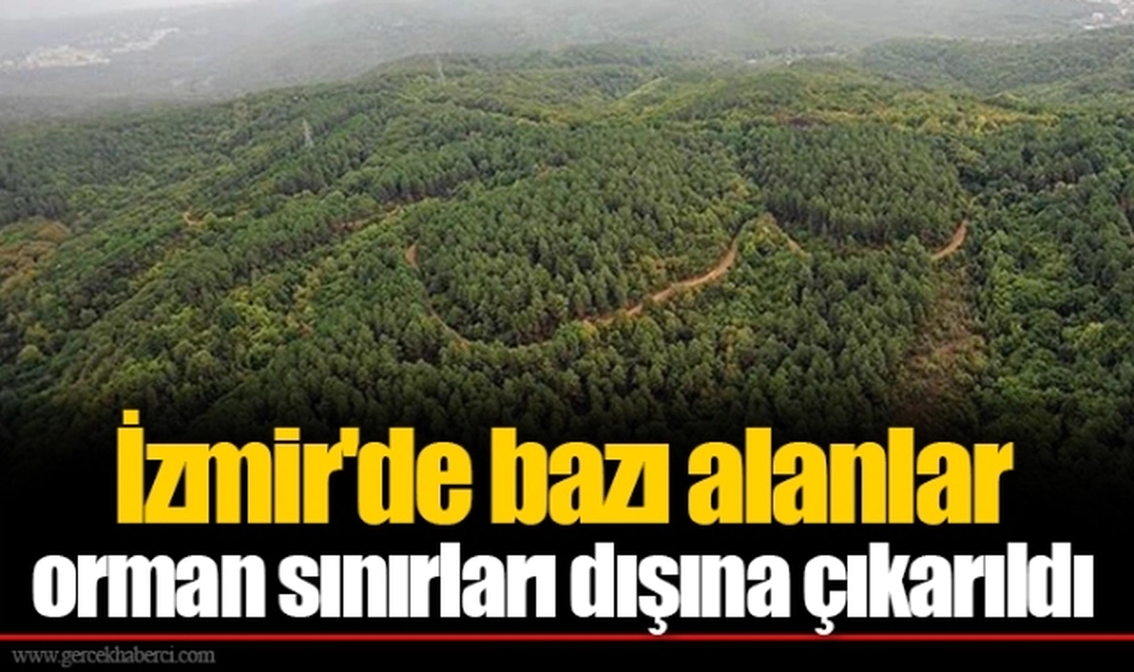 İzmir'de bazı alanlar  orman sınırları dışına çıkarıldı