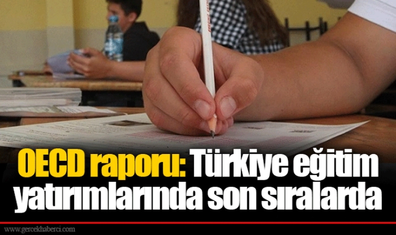 OECD raporu: Türkiye eğitim yatırımlarında son sıralarda