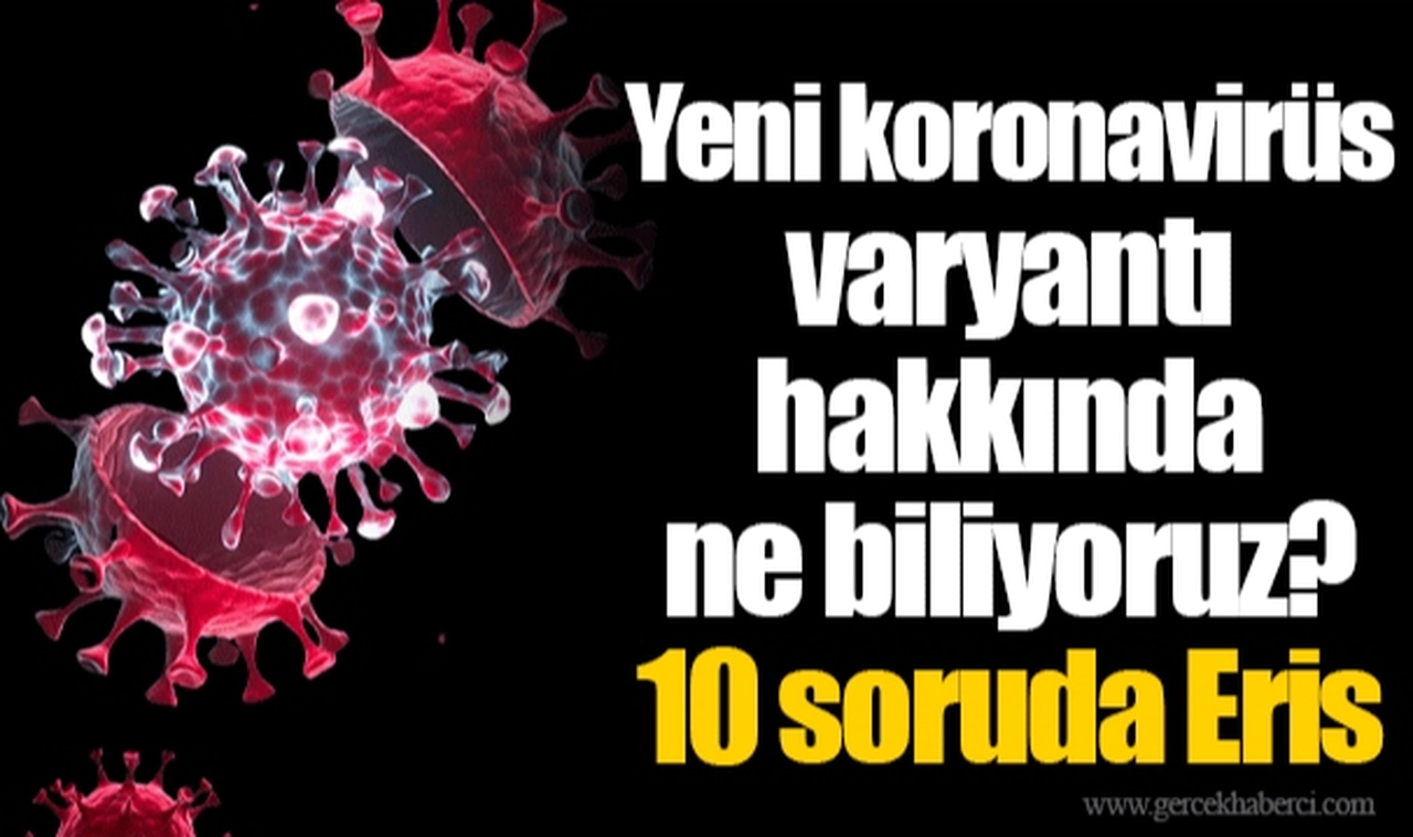 Yeni koronavirüs varyantı hakkında ne biliyoruz? 10 soruda Eris