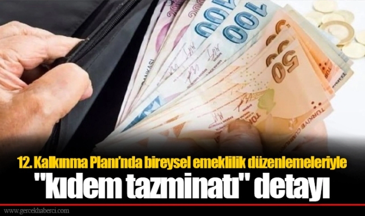 12. Kalkınma Planı’nda bireysel emeklilik düzenlemeleriyle "kıdem tazminatı" detayı