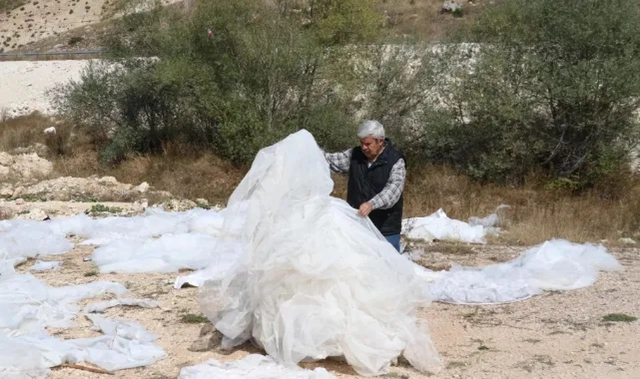 Boş arazide çok sayıda gelinlik bulundu
