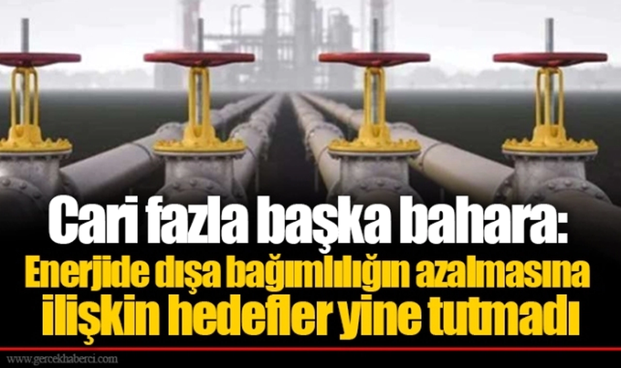 Cari fazla başka bahara: Enerjide dışa bağımlılığın azalmasına ilişkin hedefler yine tutmadı