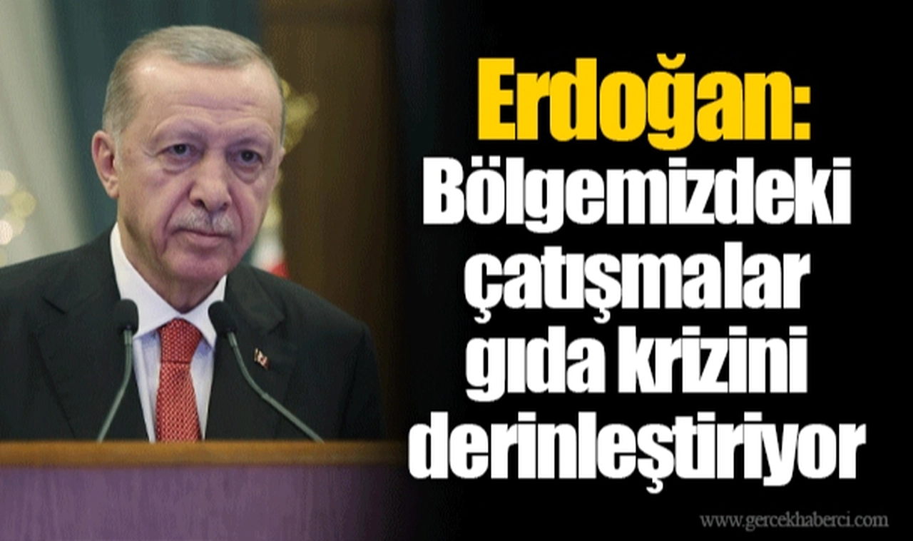 Erdoğan: Bölgemizdeki çatışmalar gıda krizini derinleştiriyor