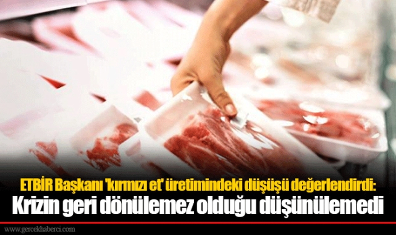 ETBİR Başkanı 'kırmızı et' üretimindeki düşüşü değerlendirdi: Krizin geri dönülemez olduğu düşünülemedi