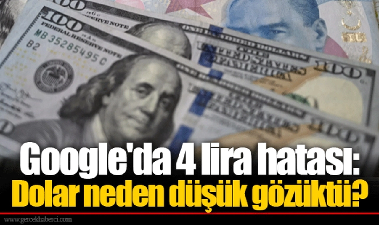 Google'da 4 lira hatası: Dolar neden düşük gözüktü?
