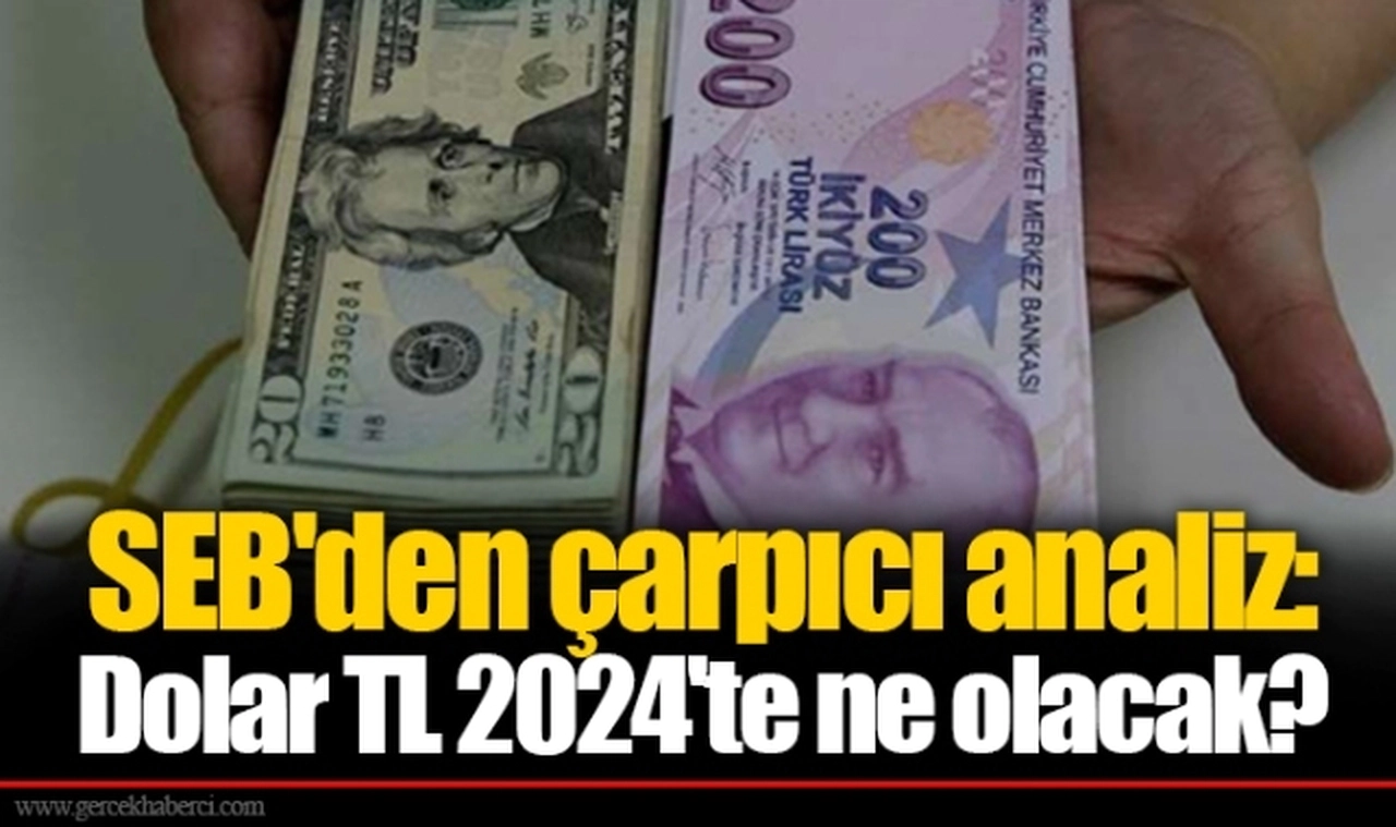 SEB'den çarpıcı analiz: Dolar TL 2024'te ne olacak?