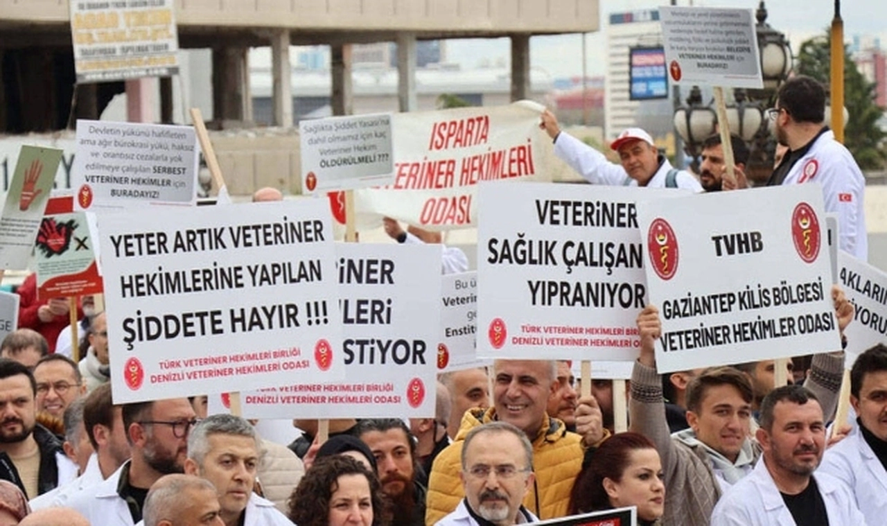 TVHB'den Cumhurbaşkanlığı'na dilekçe: Gerekli adımların atılması gerekmektedir
