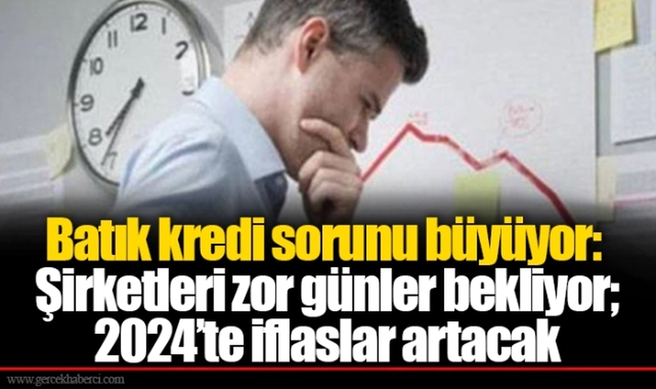 Batık kredi sorunu büyüyor: Şirketleri zor günler bekliyor; 2024’te iflaslar artacak