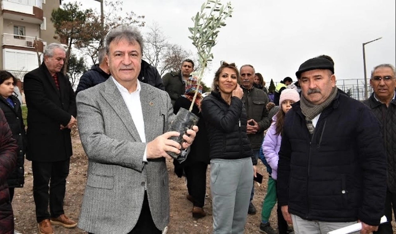 Bornova’da zeytincilik eğitimleri devam ediyor