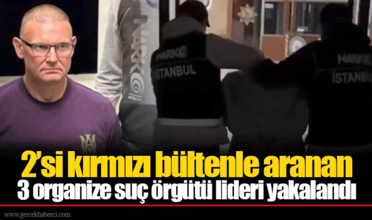 2’si kırmızı bültenle aranan  3 organize suç örgütü lideri yakalandı