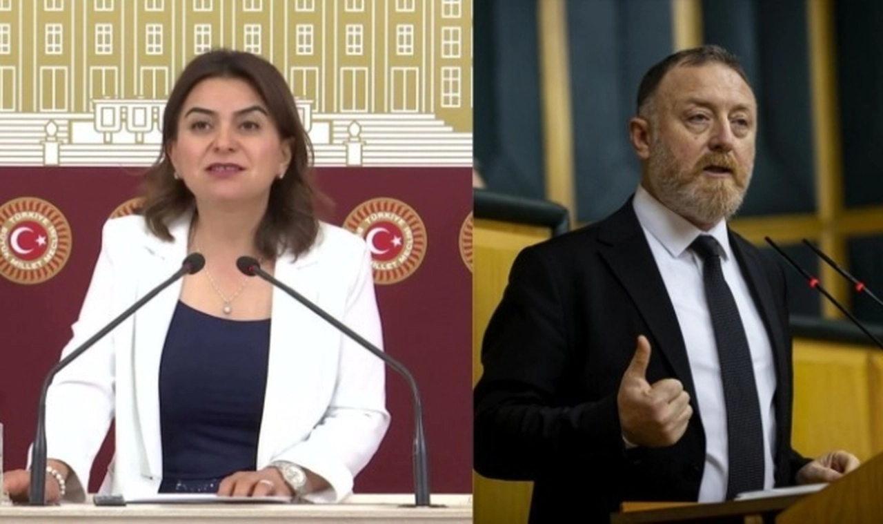 DEM Parti Grup Başkanvekilleri Koçyiğit ve Temelli oldu