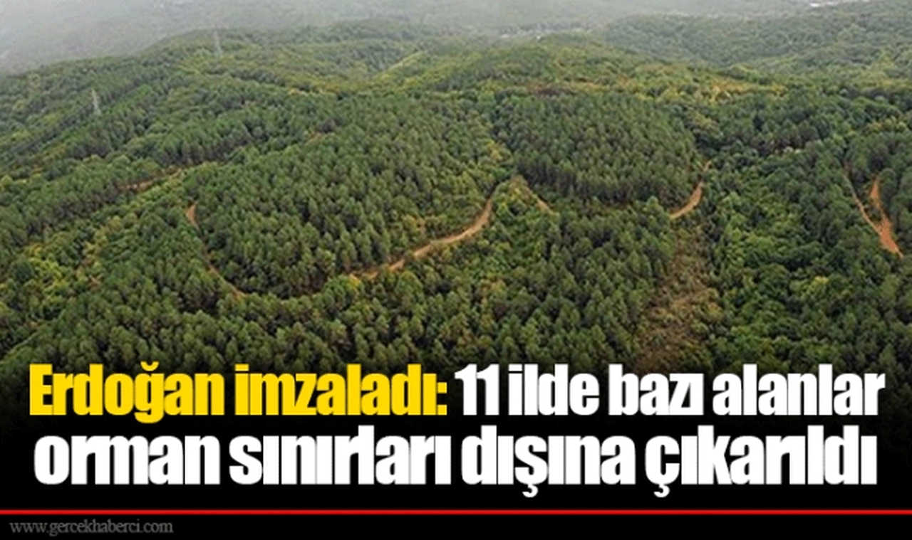 Erdoğan imzaladı: 11 ilde bazı alanlar orman sınırları dışına çıkarıldı