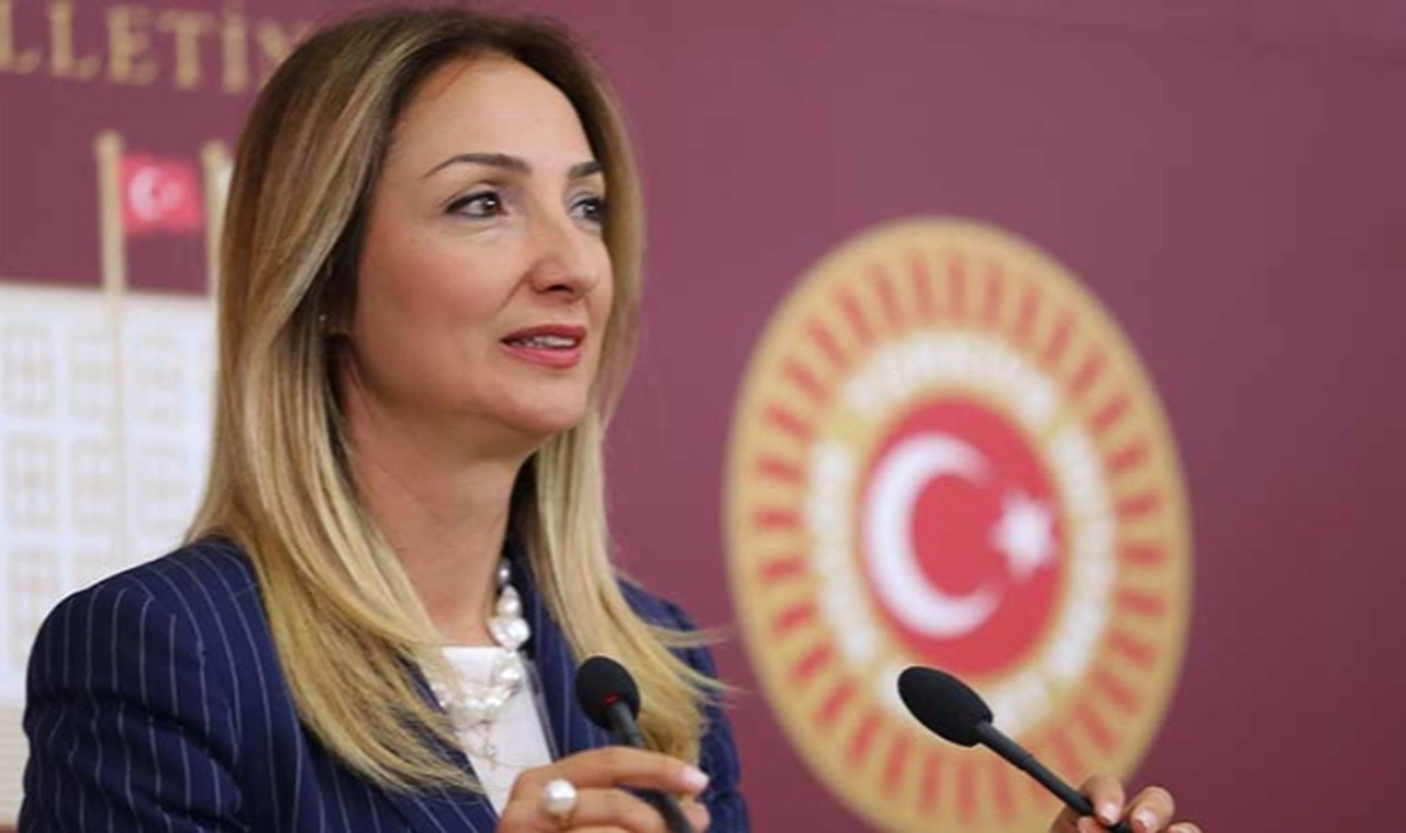 Eski Bakan Derya Yanık'tan CHP'li Aylin Nazlıaka hakkında suç duyurusu