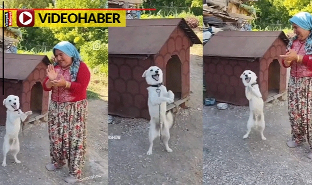 Kadın şarkı söyledi, köpeği sevinçle dans etti... O görüntüler gülümsetti