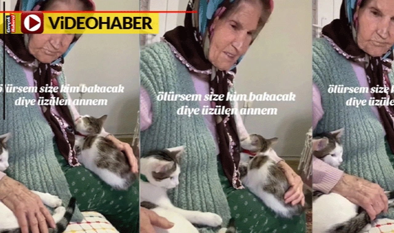 Ölürse kedilerine kimin bakacağına üzülen yaşlı kadın izleyenleri hüzünlendirdi