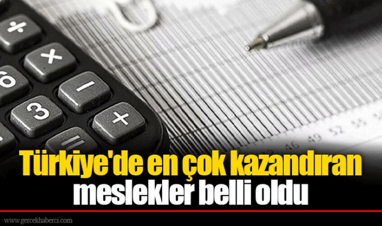 Türkiye'de en çok kazandıran meslekler belli oldu