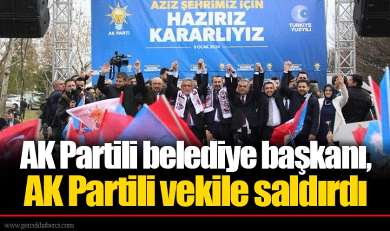 AK Partili belediye başkanı, AK Partili vekile saldırdı