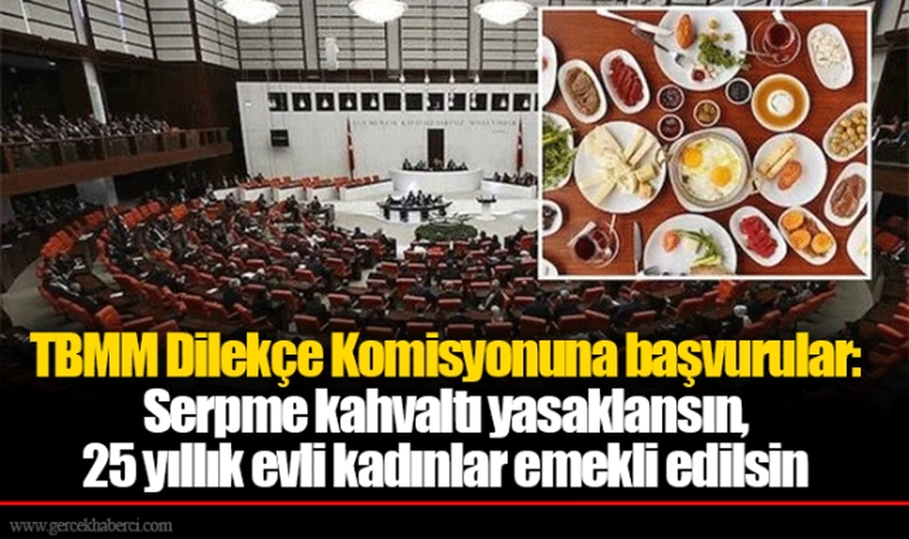 TBMM Dilekçe Komisyonuna başvurular: Serpme kahvaltı yasaklansın, 25 yıllık evli kadınlar emekli edilsin