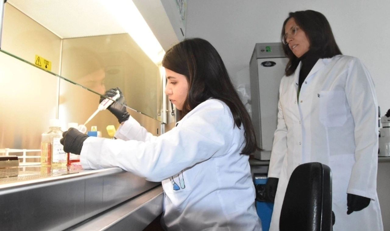 Türk profesörden kanser hücrelerinin yayılmasını önleyecek çalışma; patentini aldı