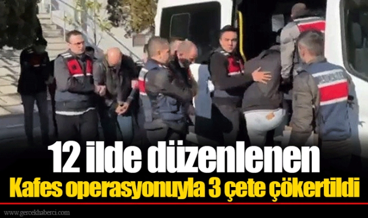 12 ilde düzenlenen Kafes operasyonuyla 3 çete çökertildi