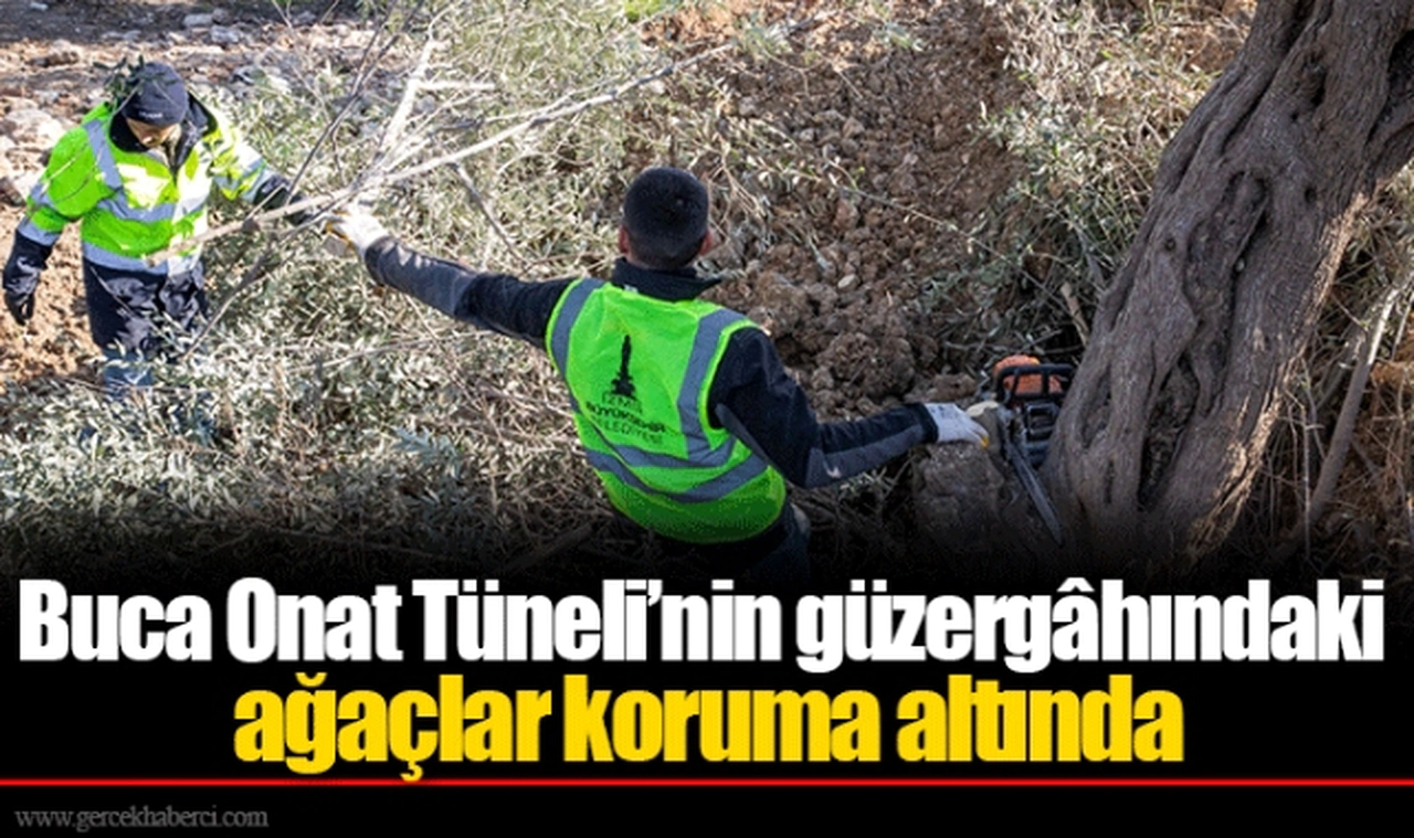 Buca Onat Tüneli’nin güzergâhındaki ağaçlar koruma altında