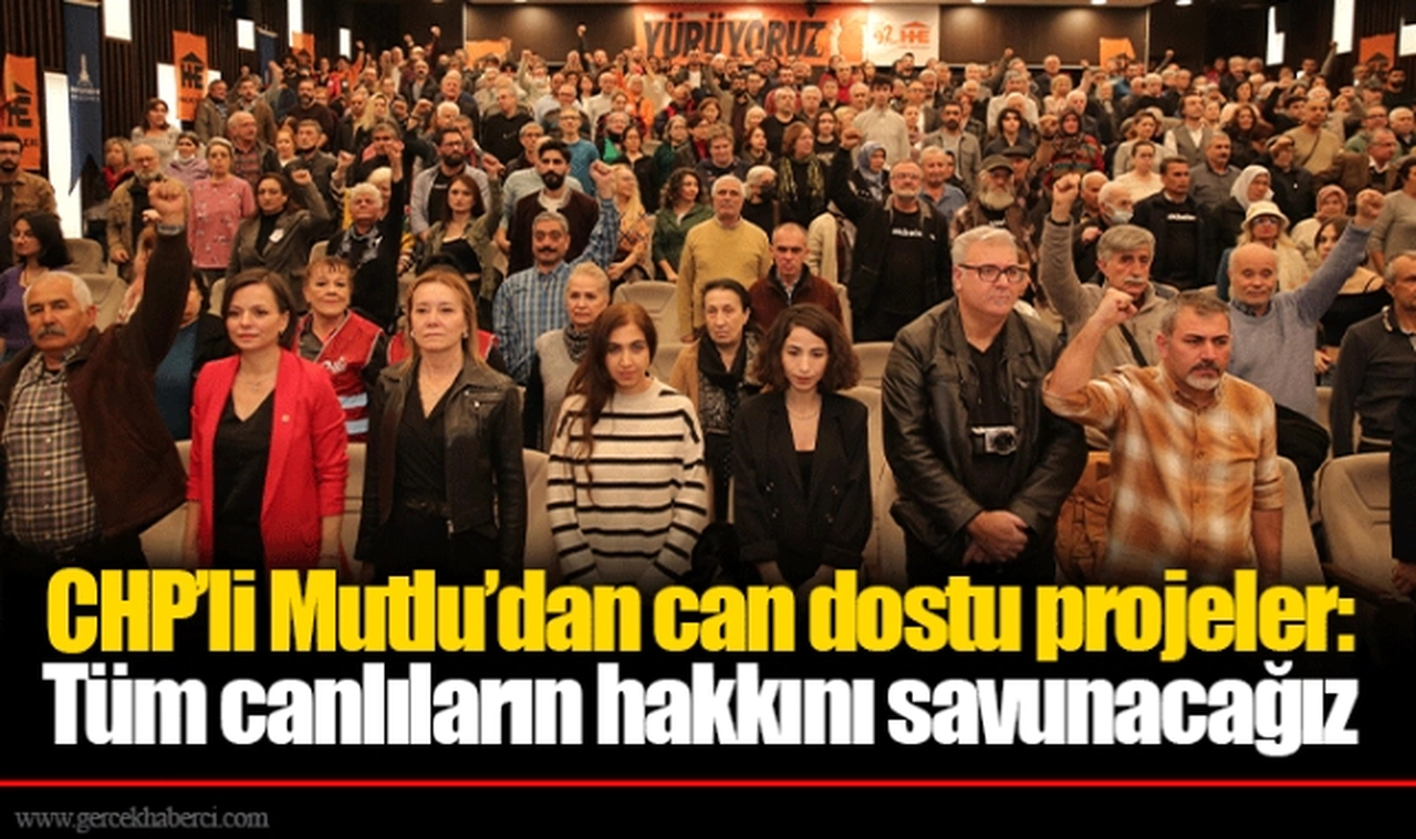 CHP’li Mutlu’dan can dostu projeler: Tüm canlıların hakkını savunacağız