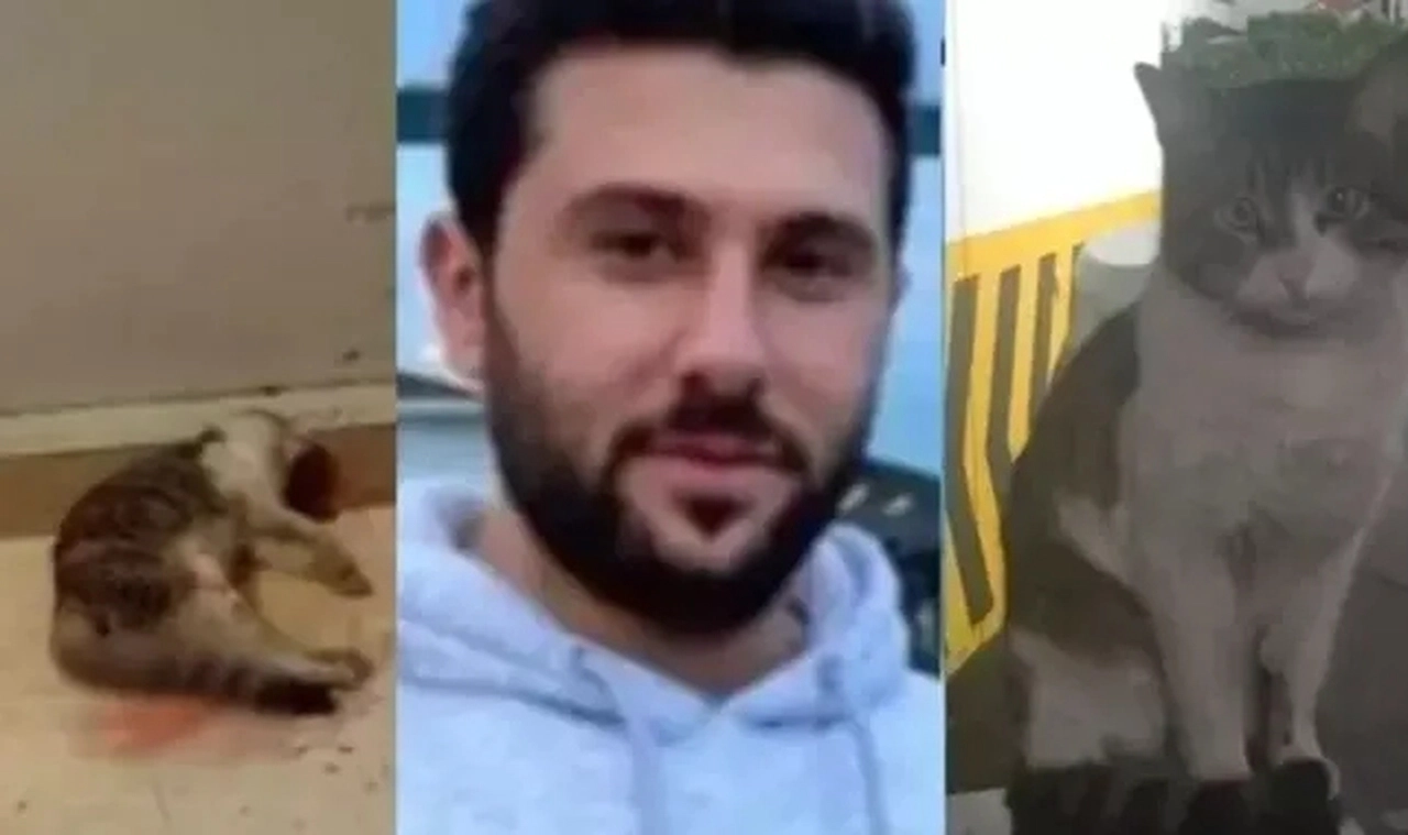 'Eros'un katilinin tutuklanması için 250 bin imza