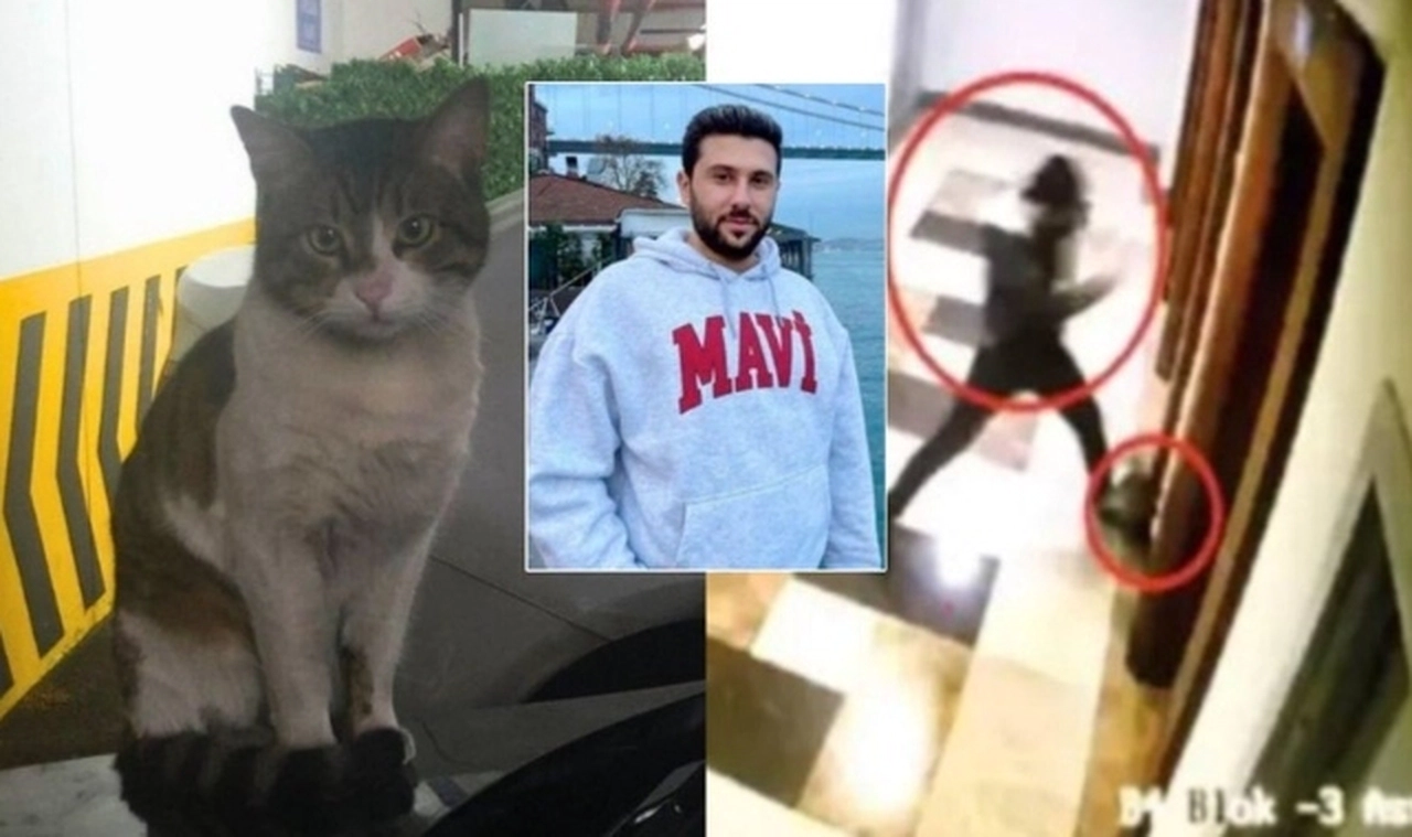 Eros’un katili İbrahim Keloğlan’a iki yıl altı ay hapis cezası: Tutuklanmayacak